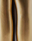 Vescovi Vase