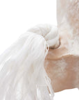 Verena Vase