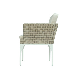 Brafta Dining Armchair (Canvas 5453)