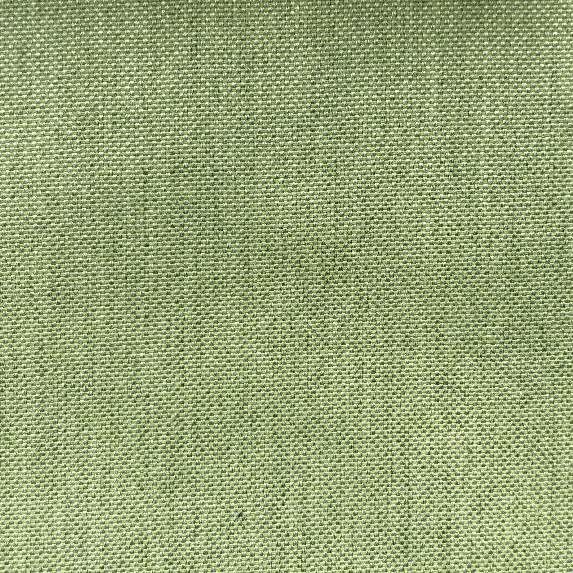 Panama Menta