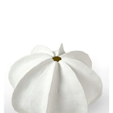 Load image into Gallery viewer, Keiko Vase White, Small