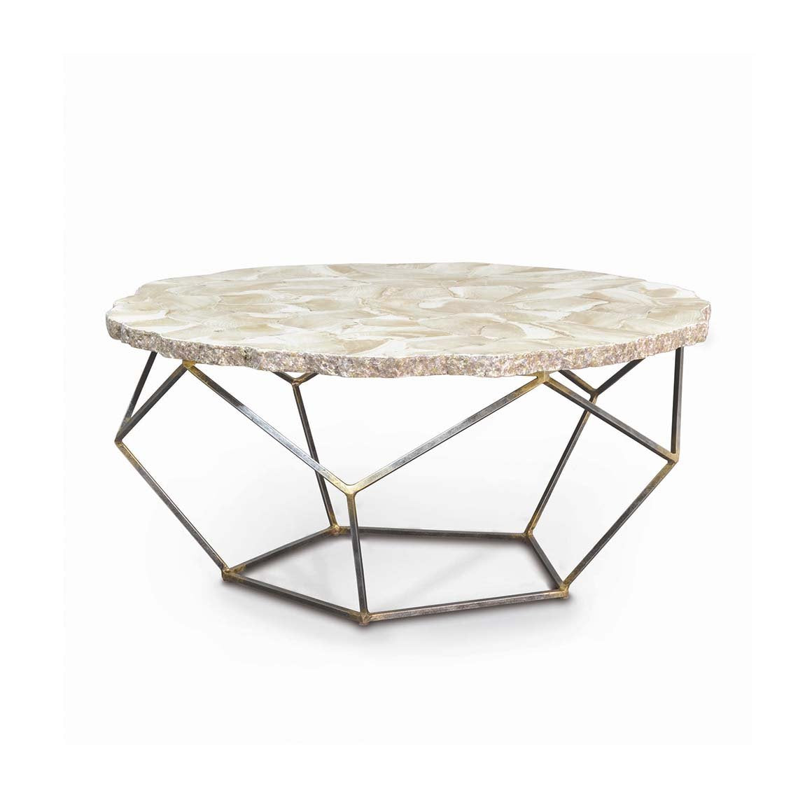 Loren Fossilized Clam Coffee Table
