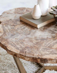 Petrified Wood Tripod Coffee Table