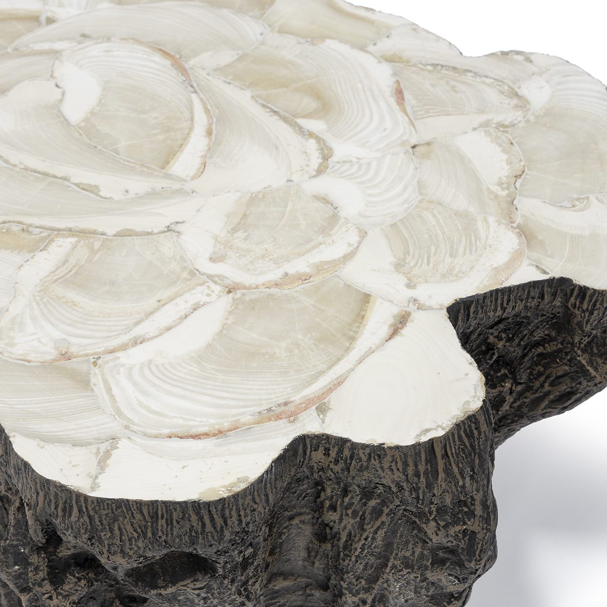 Chloe Fossilized Clam Coffee Table